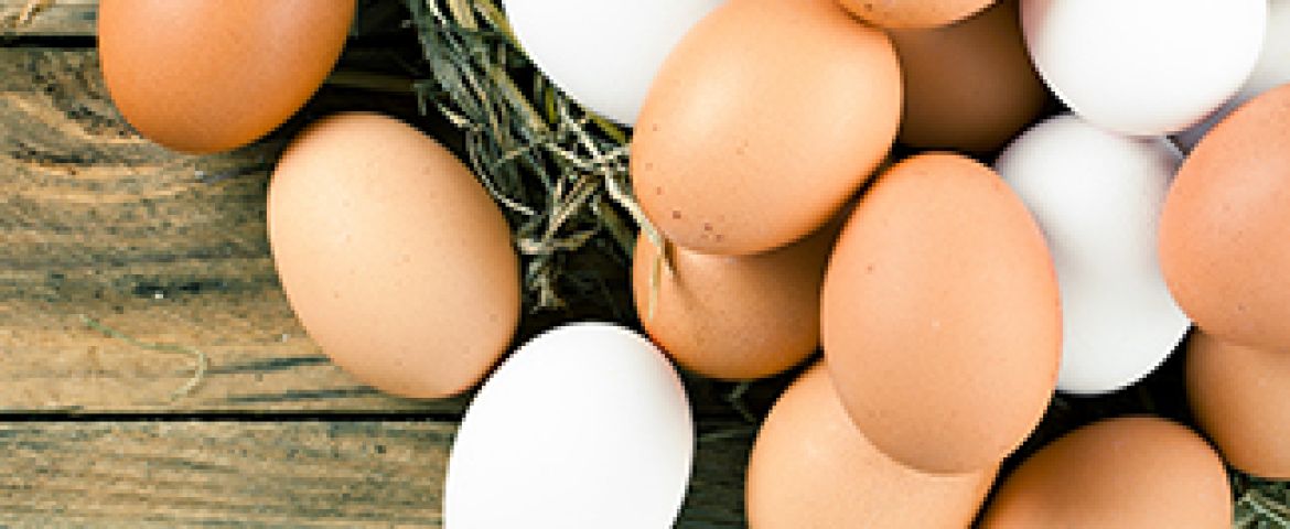 Yumurta Hakkında Bilinmesi Gerekenler!